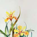 꽃그림 보타니컬 색연필화 이미지