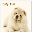 차우차우