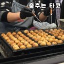 송정역 | 송정역맛집 춤추는타코 :: 콘타코 포장 후기