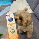 드림펫 동물병원 이미지