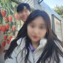 하루네 농장 | 서울 근교 딸기체험, 양수리에서 즐기는 달콤한 하루 양수리 딸기체험 농장 방문 후기(내돈내산)