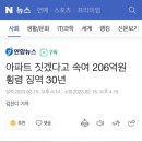 아파트 짓겠다고 속여 206억원 횡령 징역 30년 이미지