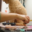 해빛5로 이미지