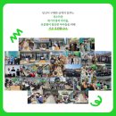 친환경 산화생분해비닐 다조아프레쉬백 선한영향력