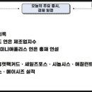 희소식 이미지