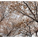 군산월명체육관 이미지