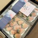 세라농장(1농장) | 흰색 하얀색 만년설 딸기 국내 1호 세라농장 배송 후기