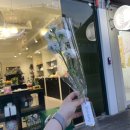 수원-0645 이미지