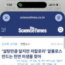 20610신수연 이미지