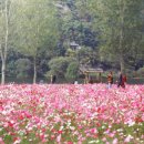 진안읍 1416 이미지