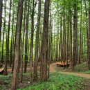 성주자연오토캠핑장 이미지