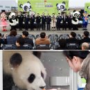 couple stay 이미지