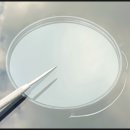 북수원자동차유리 | 수원자동차유리복원 돌빵 용접 만족했던 후기!