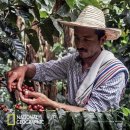 농부의커피