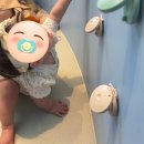 강원대학교 중앙박물관 | 🧳 국립춘천박물관, 어린이박물관 방문 후기