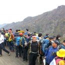 바늘과실 이미지