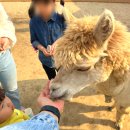 화진포정보화마을자판기 | 아이랑 갈만한곳 리스트로도 유명한 가족여행 국내 5곳 추천!