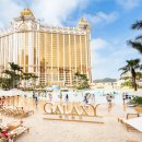 갤럭시호텔 | 마카오 갤럭시 호텔 수영장 객실 조식 추천 후기