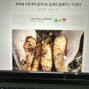 천마분말 판매 이미지