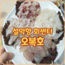 바다내음모텔 | 설악항 회센터 오복호 직접 방문한 생선회 식사 기록