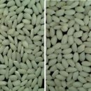 명천영농조합법인 이미지