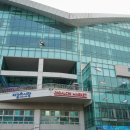 대박상회 | “이 코스로 먹으면 끝”… 남포동 맛집 신경북상회 대박코스 후기