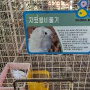 갈밭사랑영농조합 | 경남실내동물원 버드앤피쉬 후기 초등 자녀와 즐기는 거제도체험