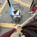 네그마 | 말개많음주의