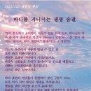바다의숨결 이미지
