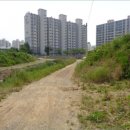 계룡로(상동동) 이미지