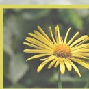 곰돌이약국 이미지