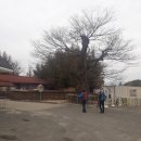 주야1리마을회관 이미지