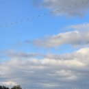 장호에너지 이미지