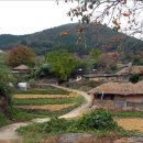 연어의맛 이미지