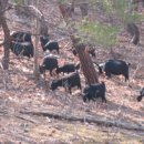 고향건강원 이미지