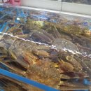 기장시장대게 이미지