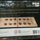 체스(서양장기)지도사 이미지