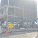 외 제 | 정신부터 뼈 혈액 만성염증까지 도움을 주는 발효식품 대박 감사한 제품 만난 제 후기입니다.