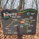 대공원국수 이미지