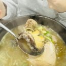 물마 Daum카페