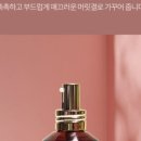 셀오일