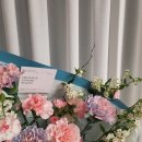 오블리비아떼 이미지