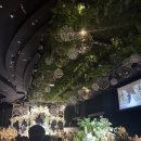 파스쿠찌 안양명학점 | 안양 명학 위더스 웨딩홀 후기(주차, 좌석, 연회장) 25년 하반기 견적 공유
