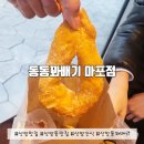 (상암 맛집) 내돈내산 상암 서울페이가맹점 간식 추천 / 꽈배기, 팥도너츠동동꽈배기 마포점