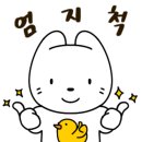 아도라 플라워 앤 카페 이미지