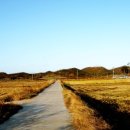 성창카센타 이미지