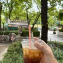 GS25중계브라운점 | GS25 100원으로 즐긴 아이스 아메리카노 후기, 방법