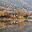 콜핑부산 이미지