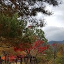 원주치악산불한증막 이미지