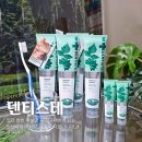 덴티스플러스 | 입냄새 제거 치약 추천 덴티스테 치약 사용 후기